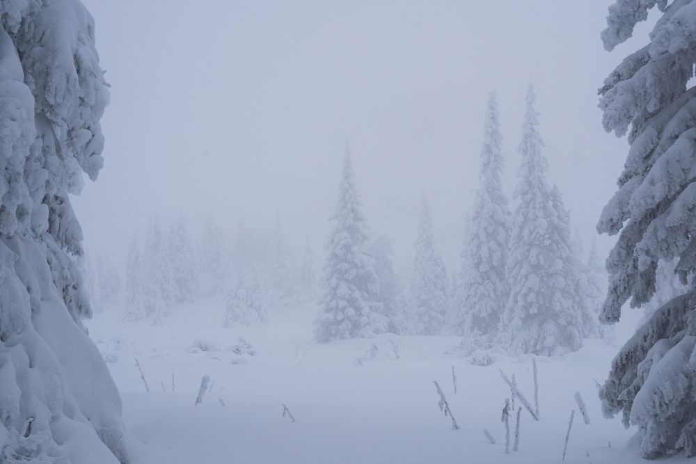 Photograph by Константин Степанов