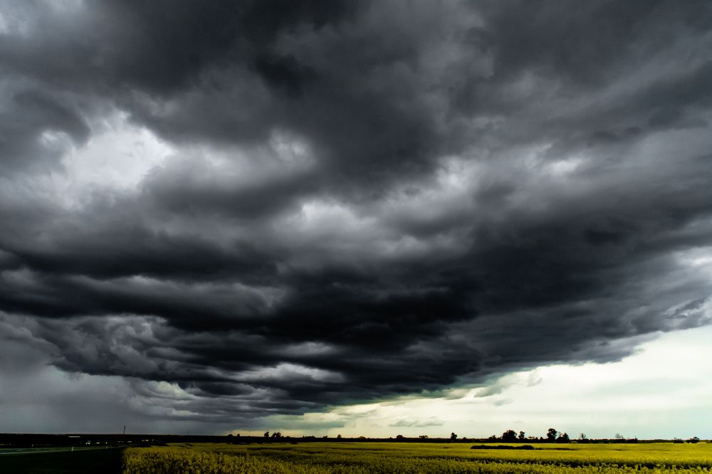 Photograph by Владимир Моисеенко