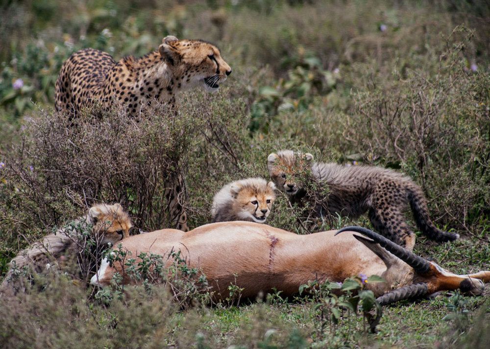 Фотография автора andrey gagarin