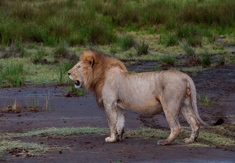 Фотография автора andrey gagarin