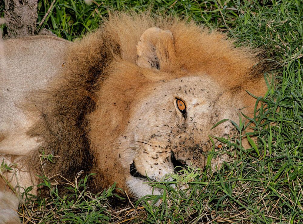 Фотография автора andrey gagarin