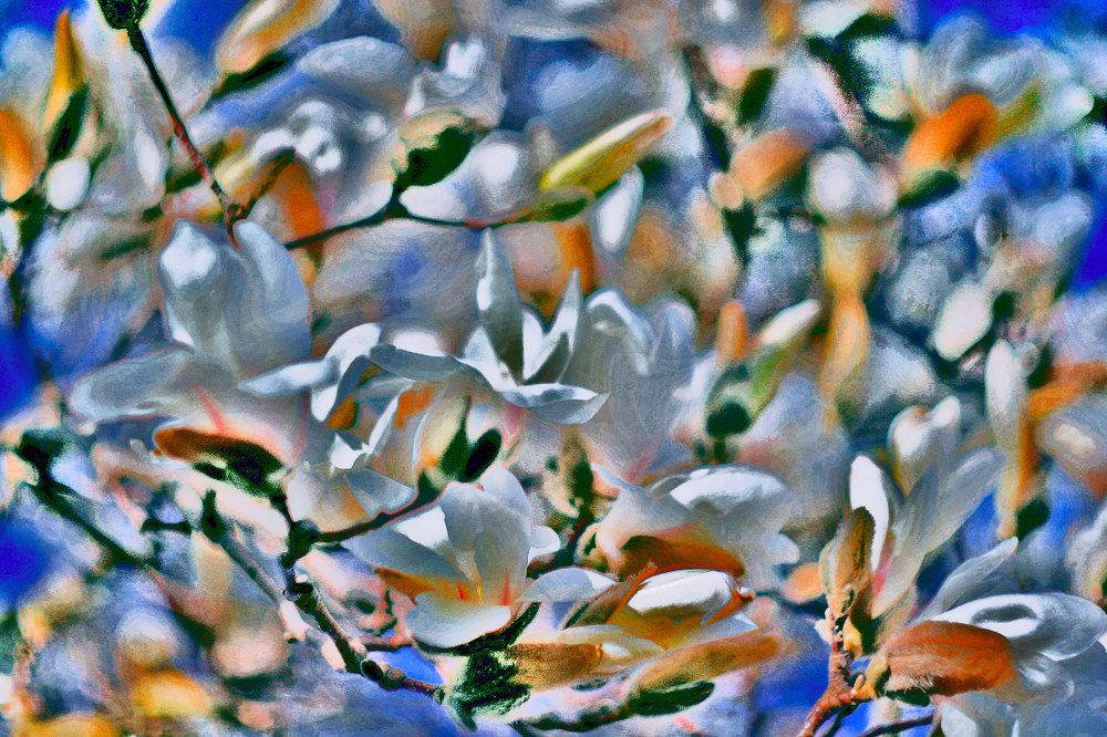 Фотография автора andrey gagarin