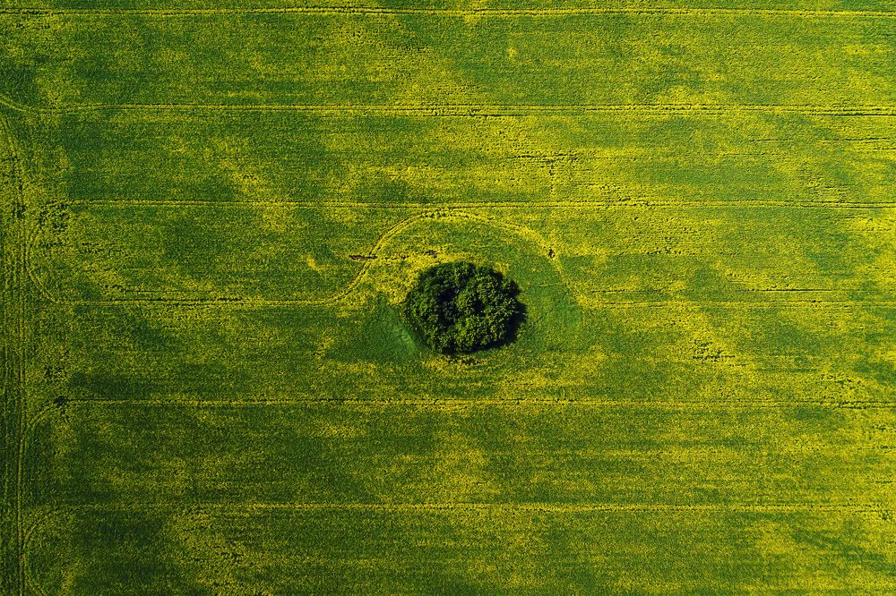 Photograph by Алексей Парфенов