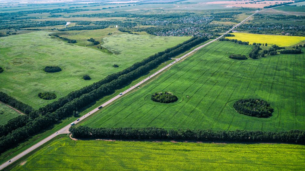 Photograph by Алексей Парфенов