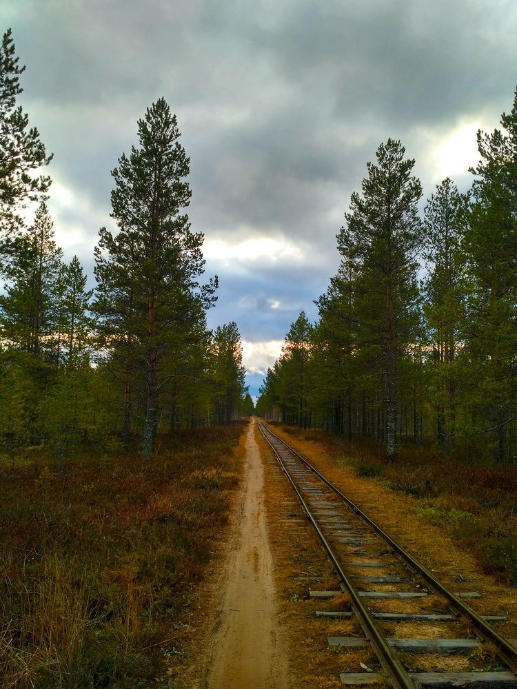 Photo #6820731