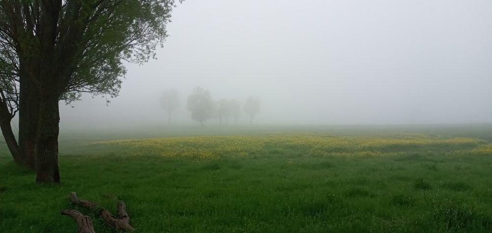 Photograph by Roghayeh Dannandeh