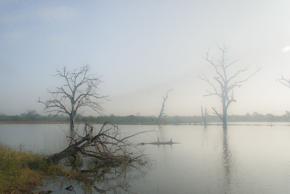 Photograph by Букин Александр