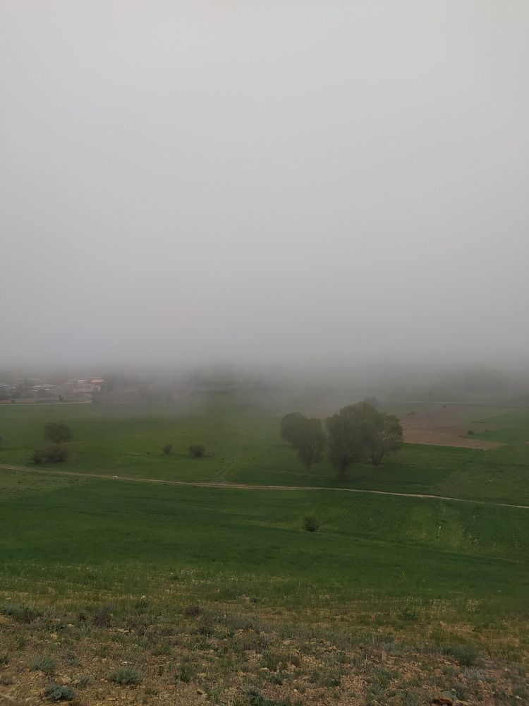 Photograph by Roghayeh Dannandeh