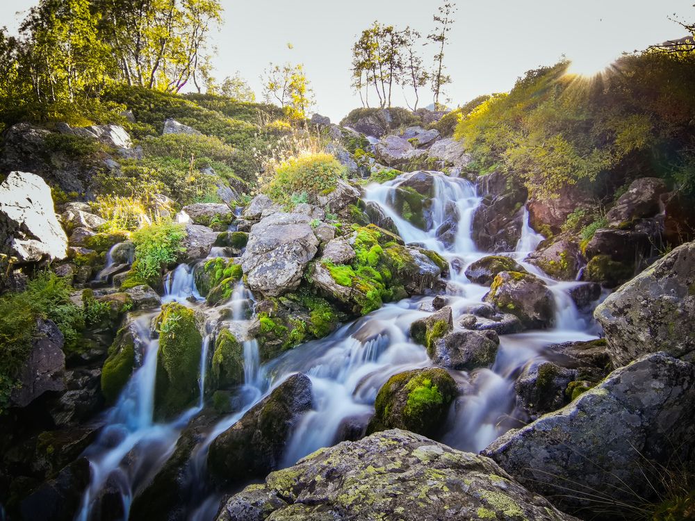 Фотография автора OXANA MARSOVA