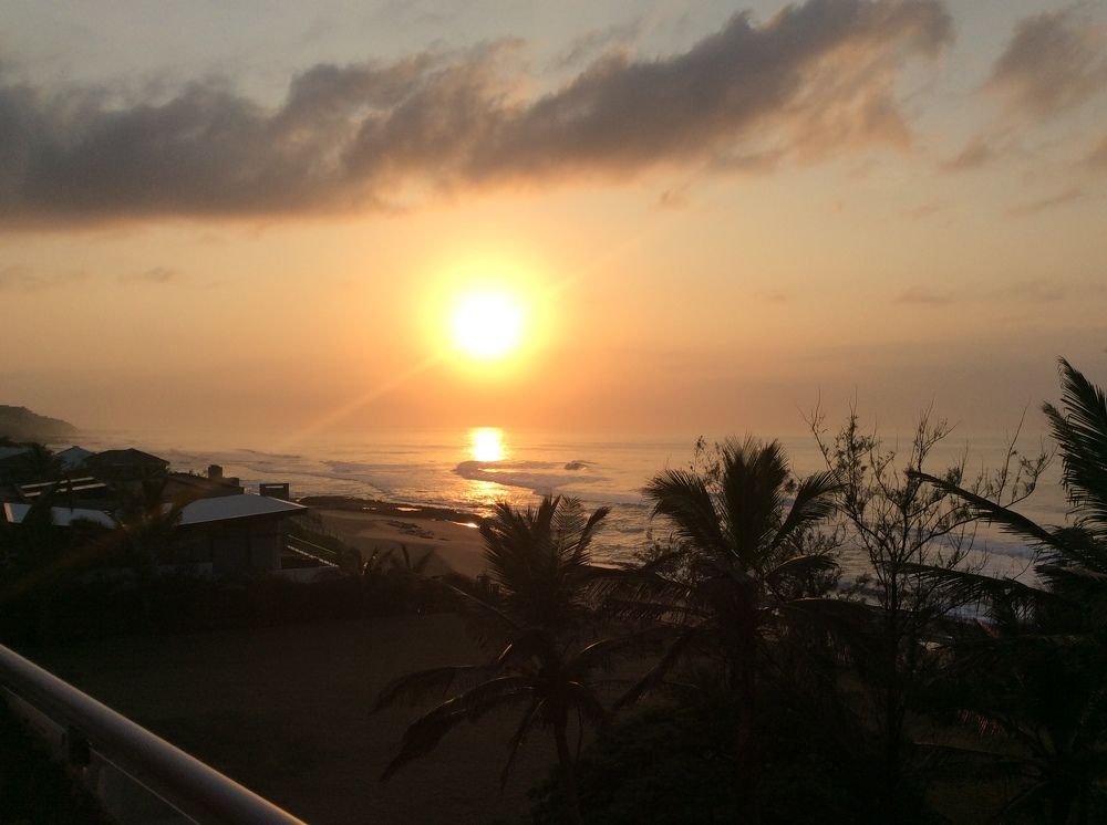 Photo #6820809