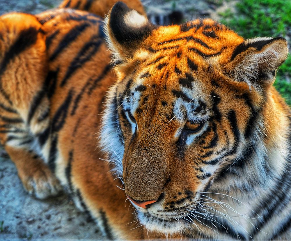 Photograph by Ercan Ozturk