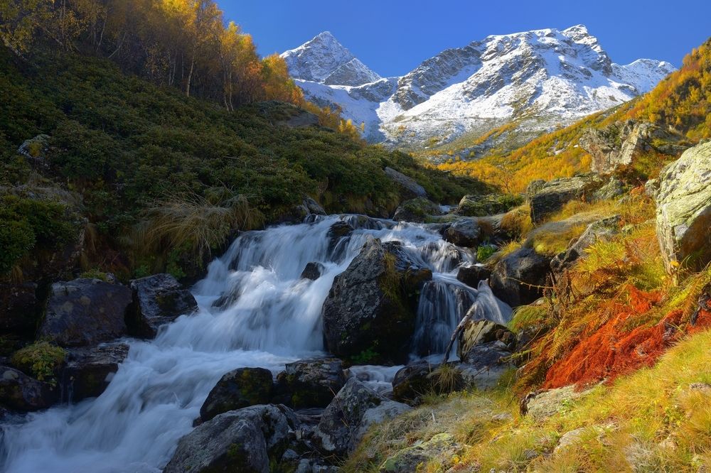 Осеннее утро