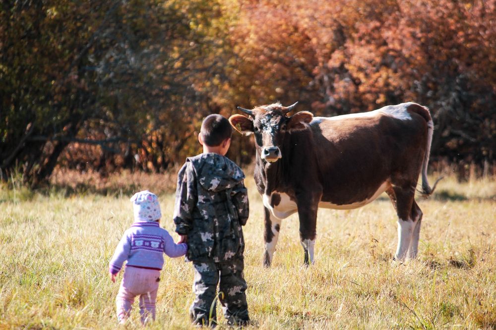 Деревенские дети.