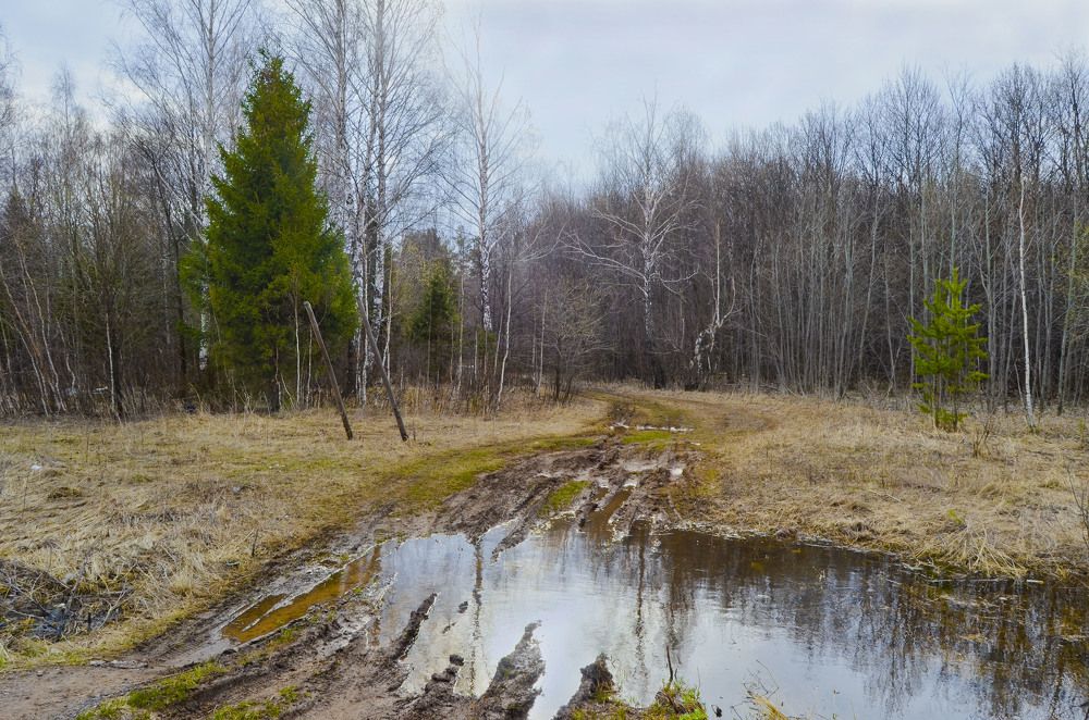 Photograph by Анатолий Васильев