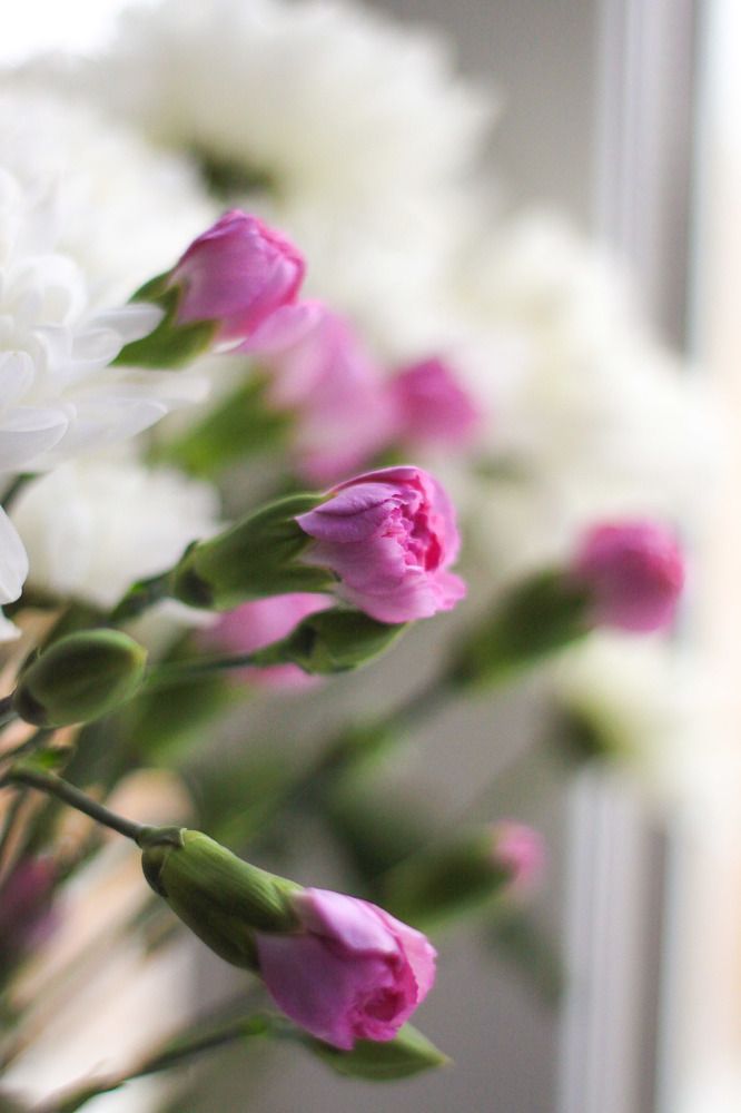 Photograph by Жанна Цветкова