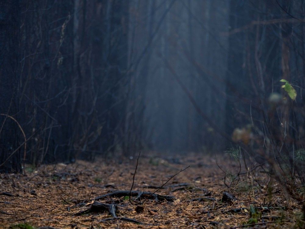 Photograph by Надежда Меркулова