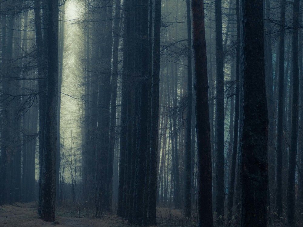 Photograph by Надежда Меркулова