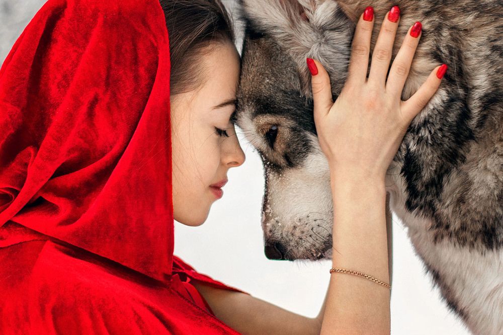 Photograph by Александр Захаров