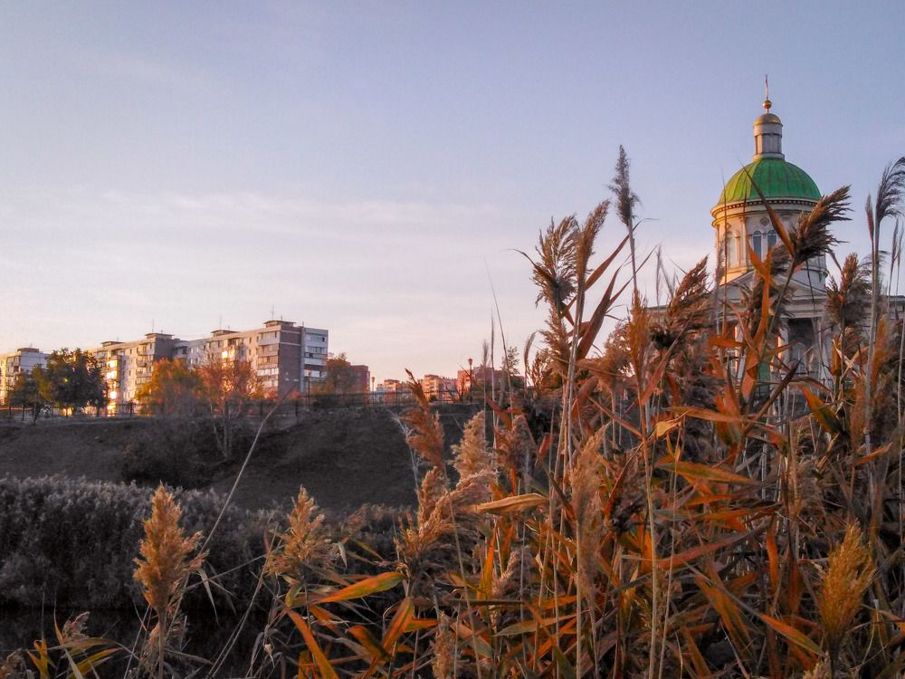 Photo #6820994