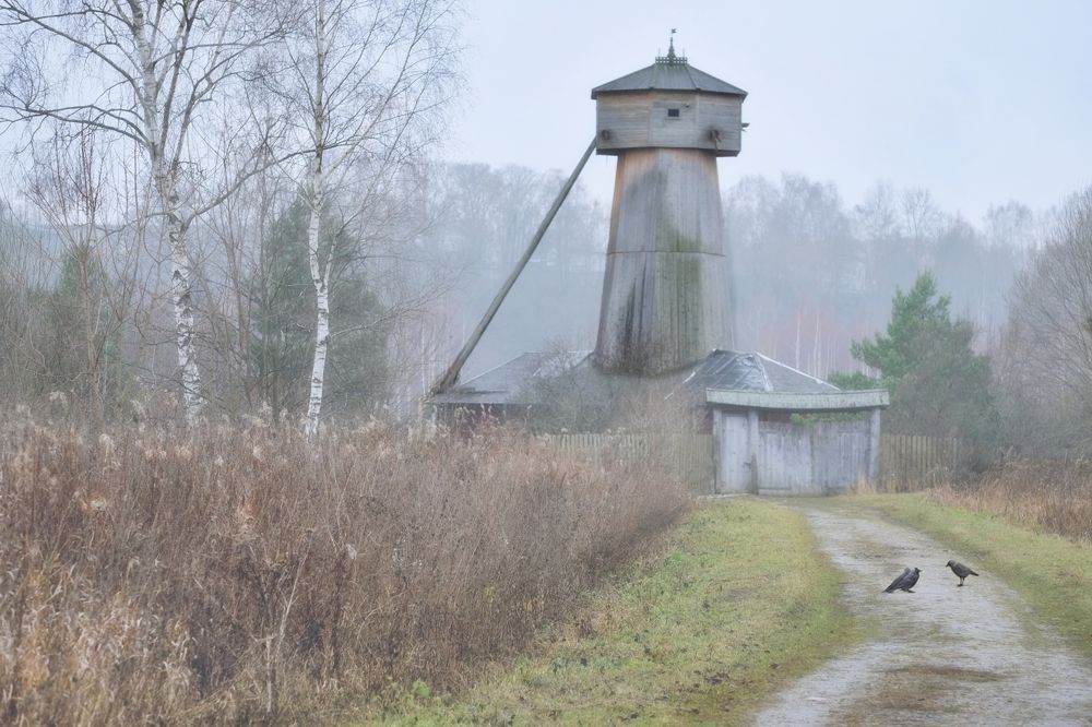 Утро туманное