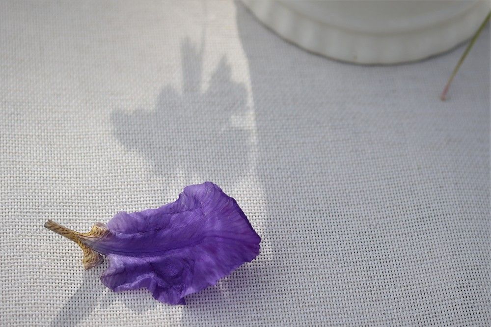 Photograph by Родосская Нонна