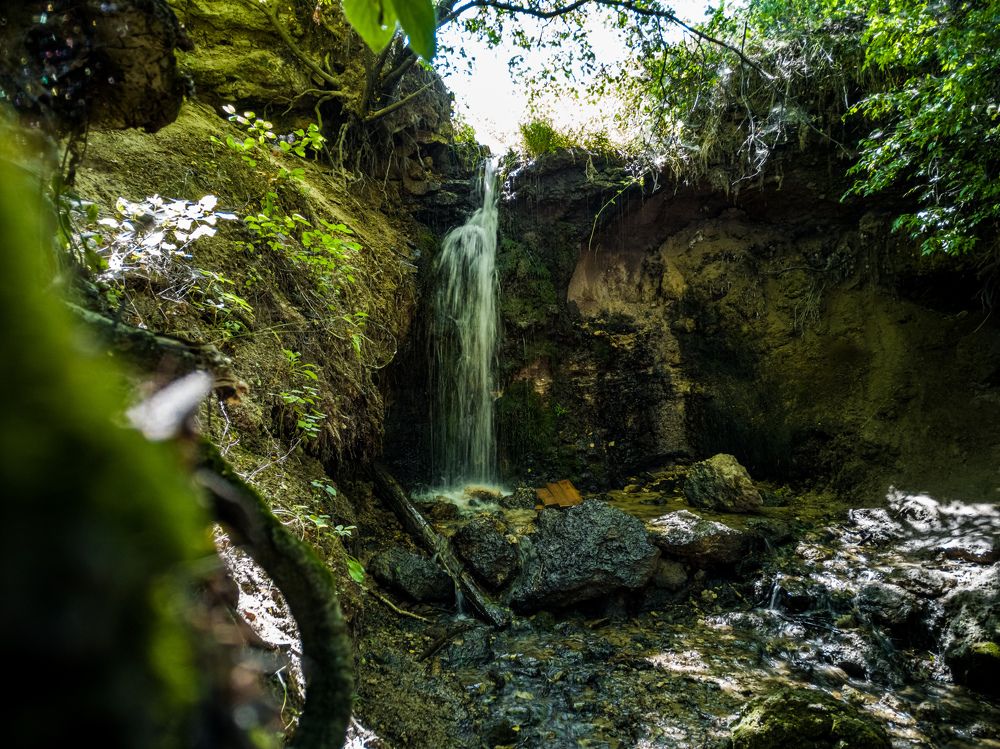 Photograph by Алексей Чеботарев