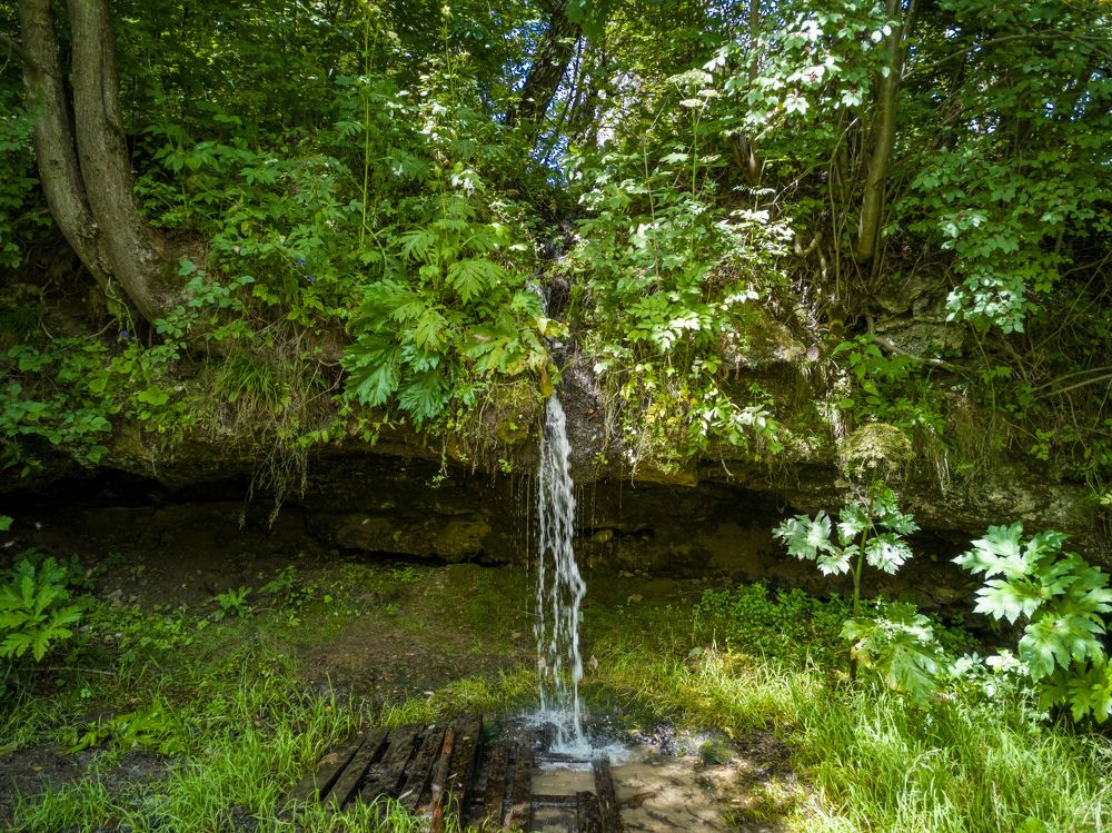 Photograph by Алексей Чеботарев