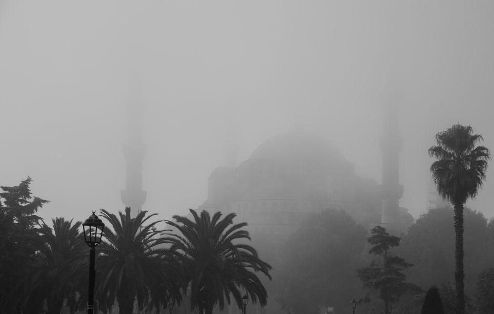 Photograph by Nino Sozashvili