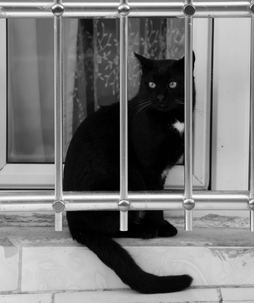 Photograph by Nino Sozashvili