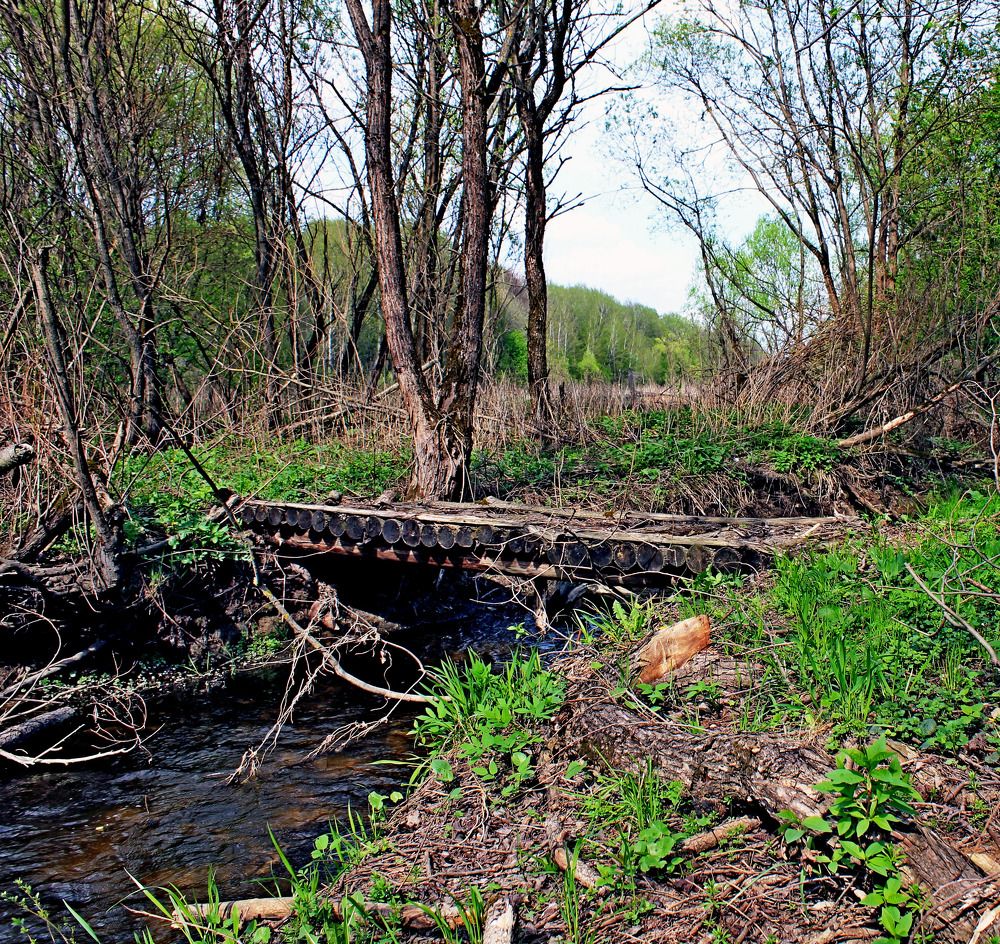 Photograph by Александр Бугаенко