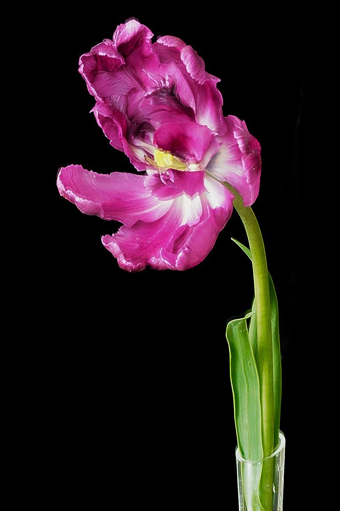 Photograph by Ирина