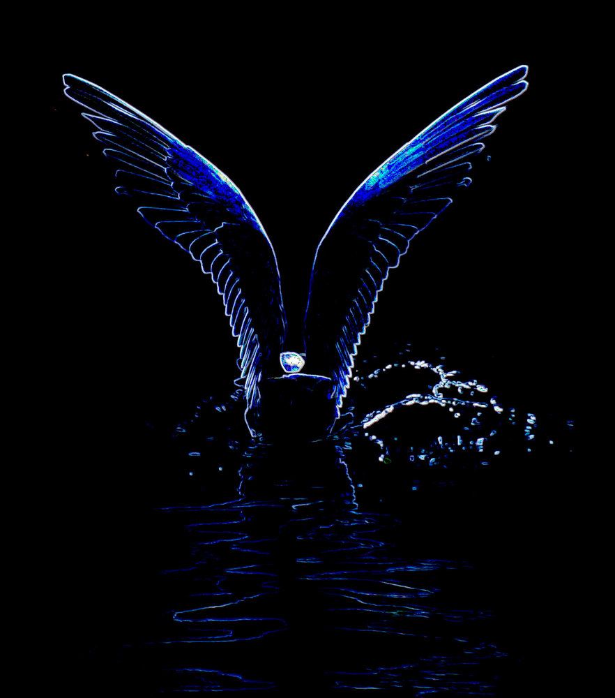 Photograph by Алексей Логинов