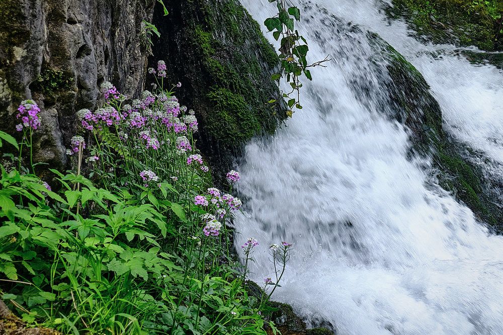 Photograph by Ирина