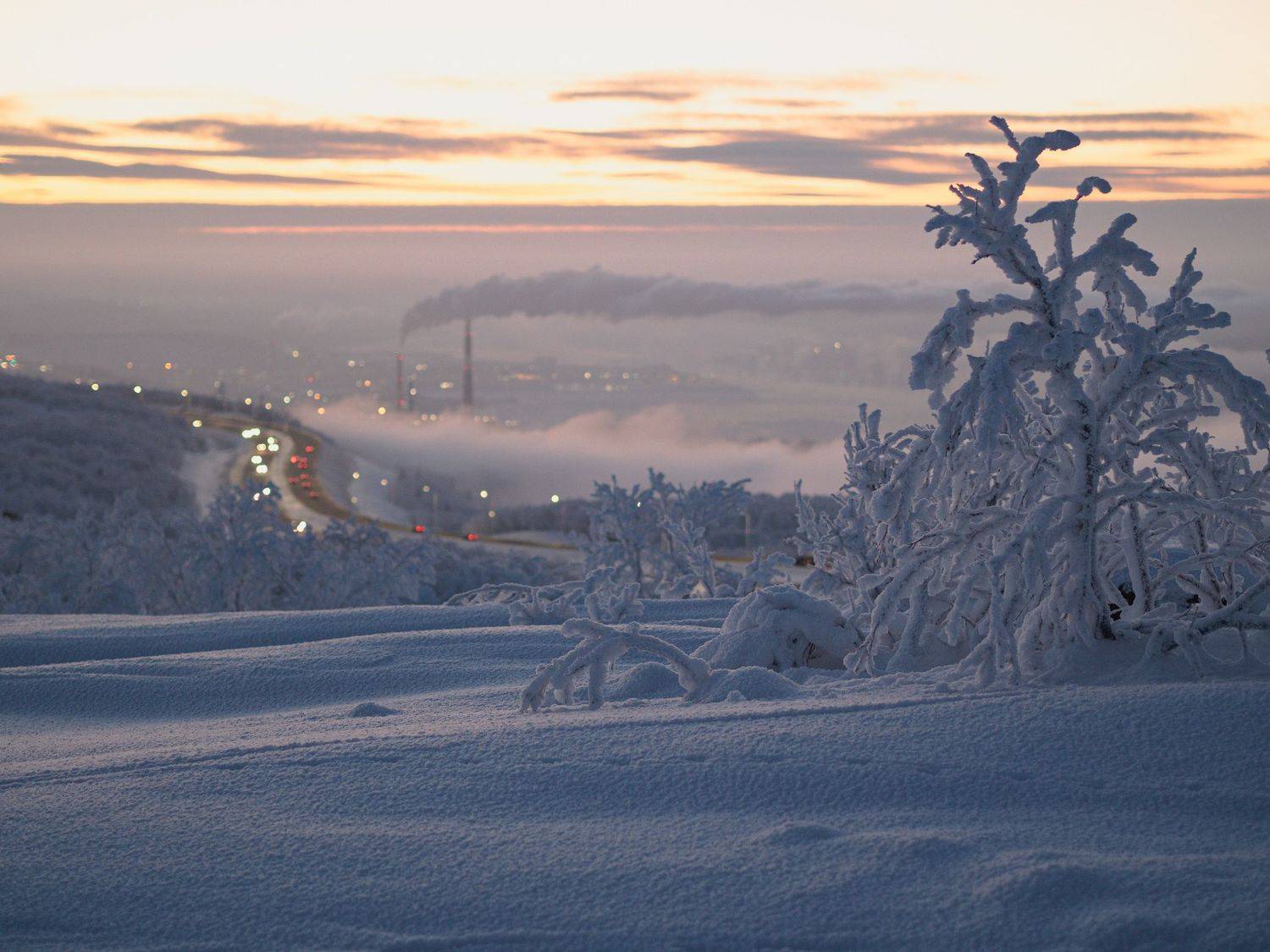 Photo #6821309