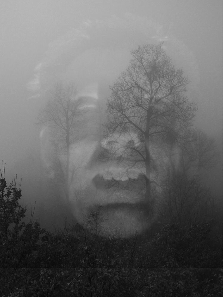 Фотография автора Denes Doma