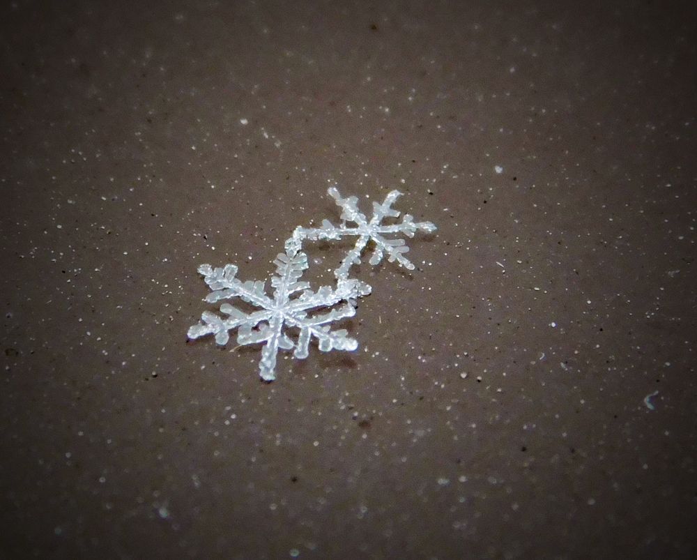 Photograph by Андрей Семенченко