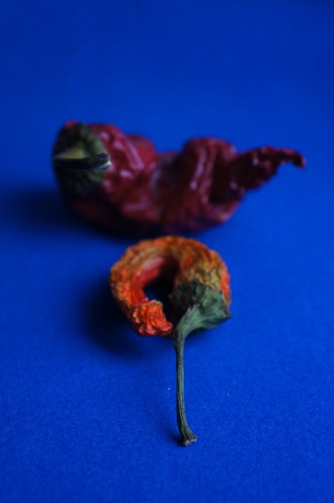 Photograph by Дарья Погонцева