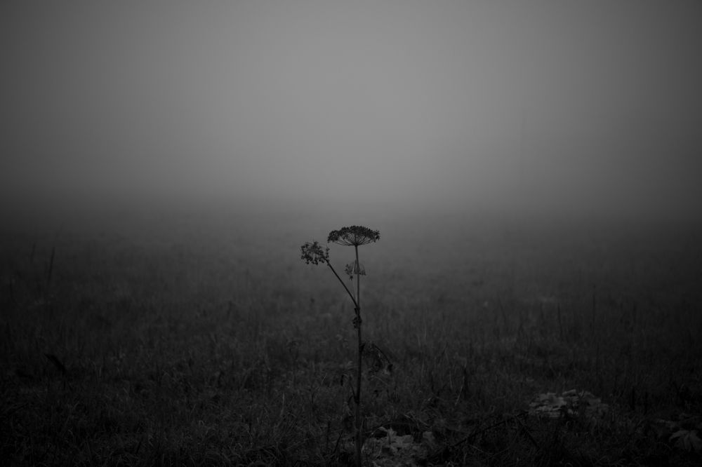 Фотография автора Екатерина Лапаева