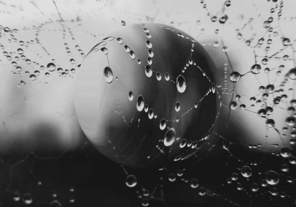 Photograph by Viviana García