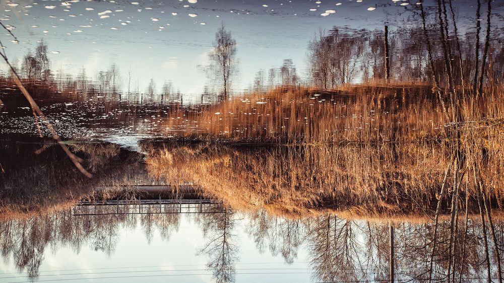 Photograph by Алена