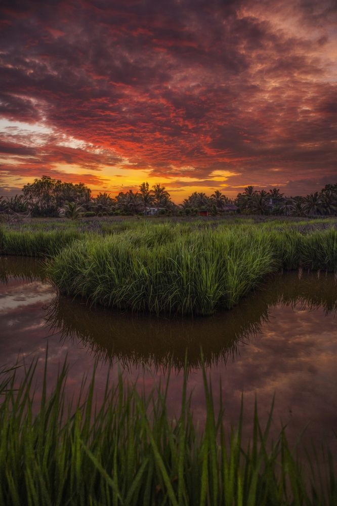 Фотография автора Tính Nguyễn