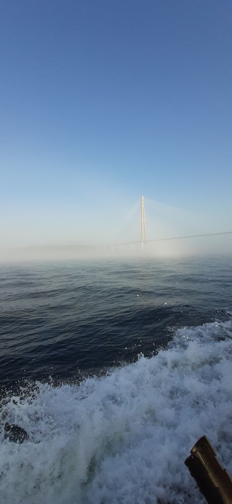 Photograph by Илья Погорелов