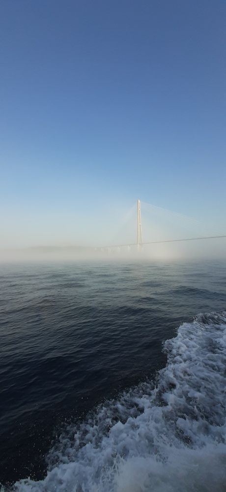 Photo #6821547