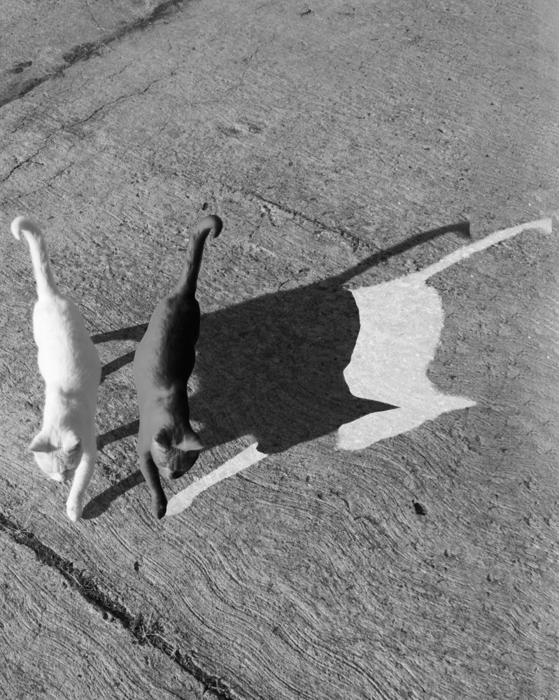 Фотография автора Denes Doma