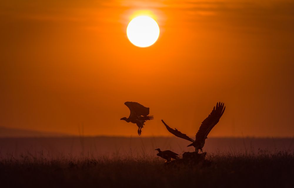 Photograph by Ruzdi Ekenheim