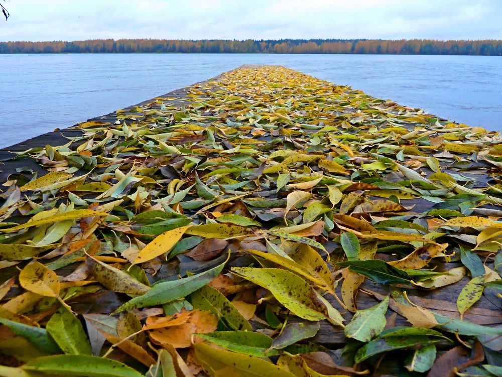 Фотография автора Марина Горбулина