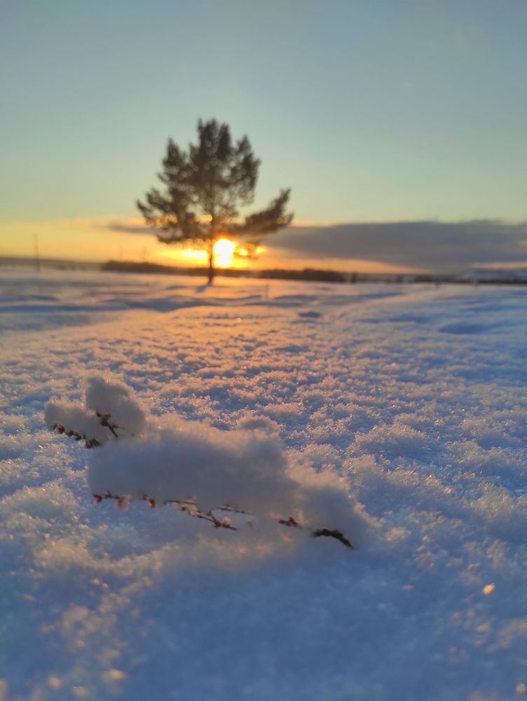 Photograph by Женя Евсеева