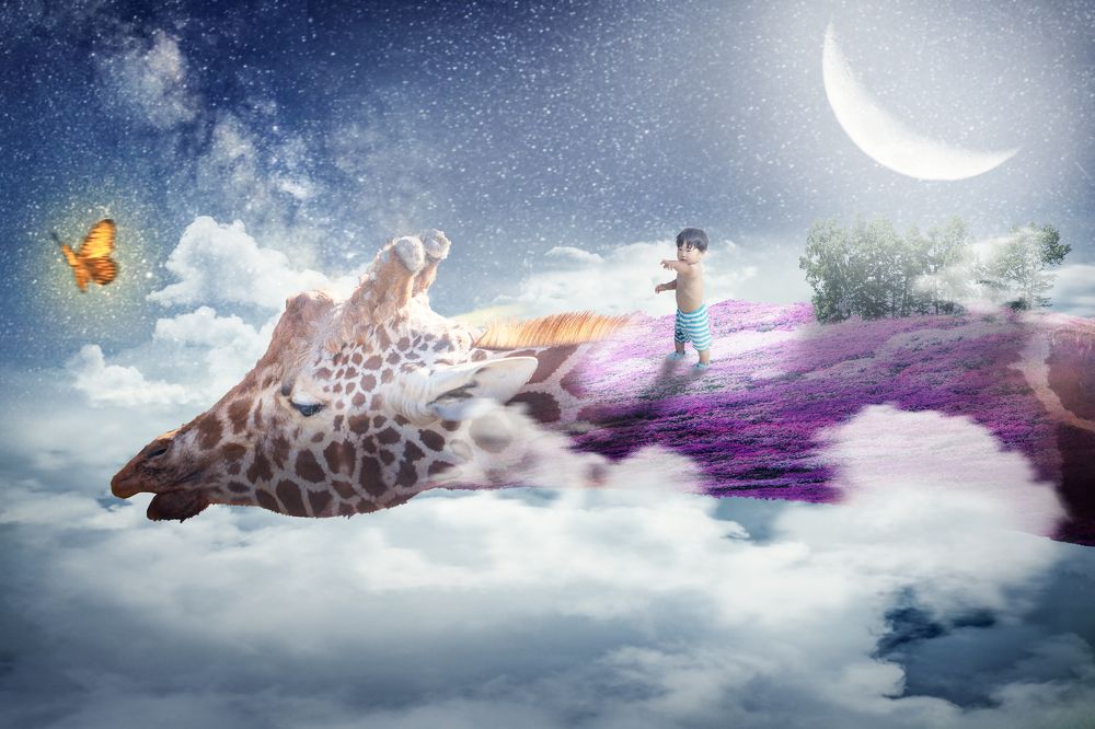 Photograph by Hal Nissy