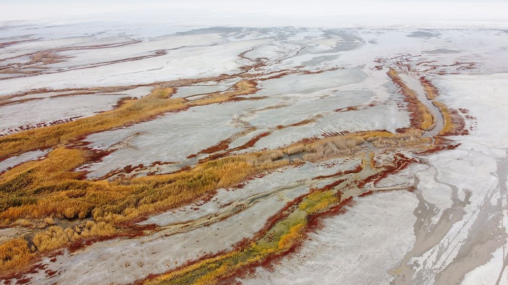 Photograph by Юрий Пузанов