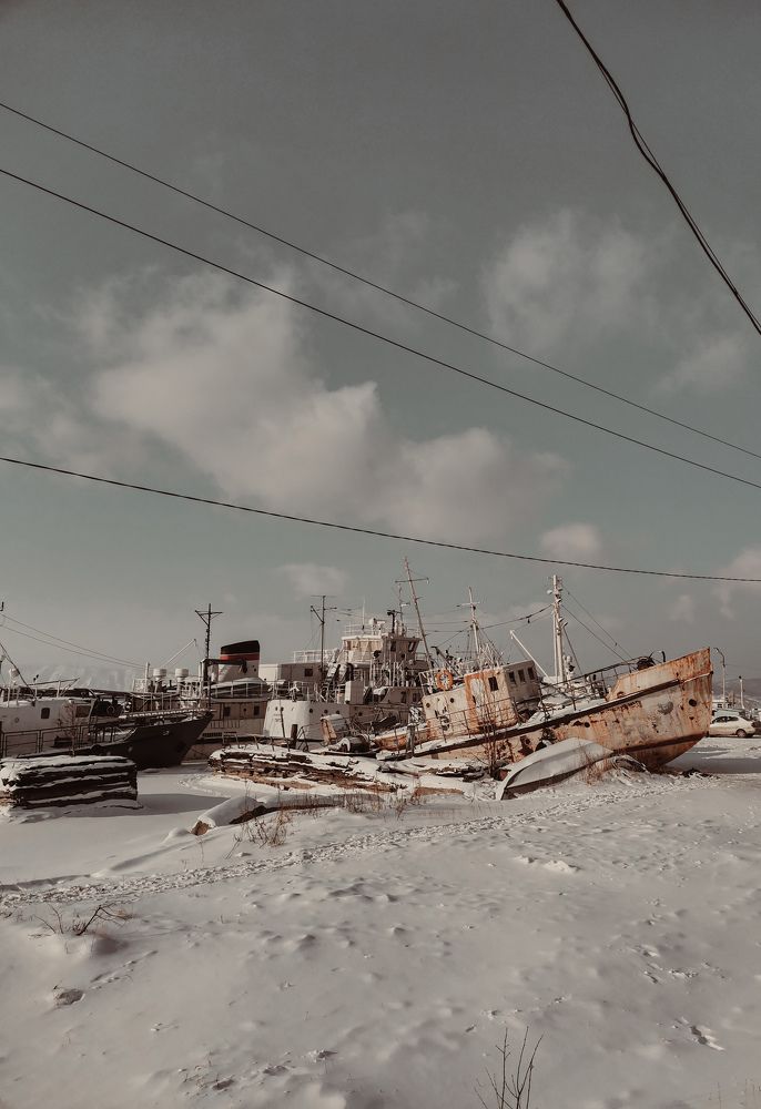 Photo #6821902